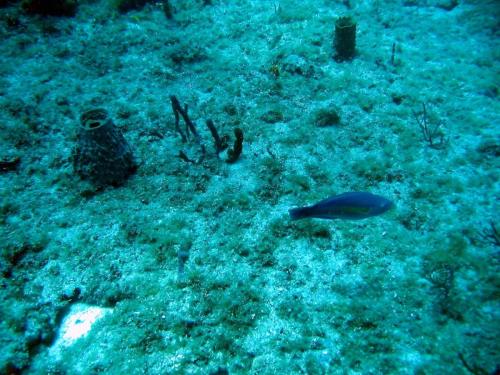 Img 2785-Large