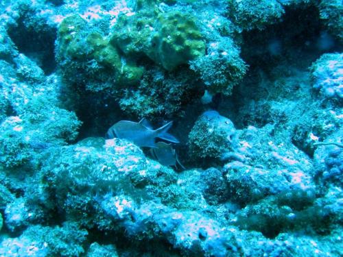 Img 2792-Large