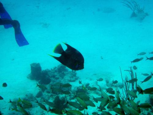 Img 2794-Large