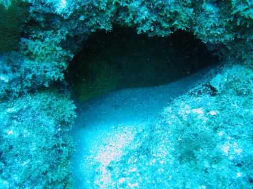 Img 2799-Large