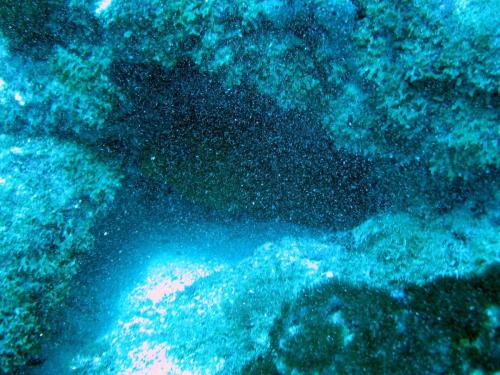 Img 2800-Large