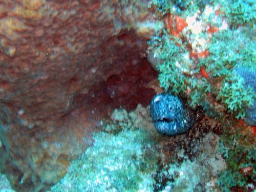 Img 2802-Large