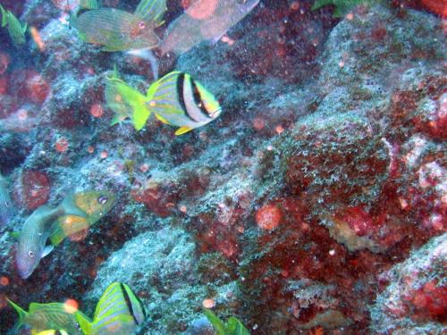 Img 2804-Large