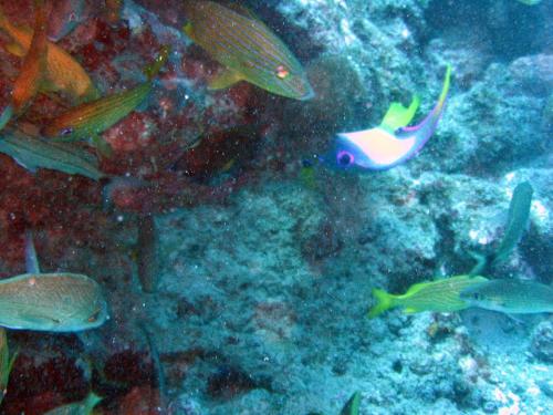 Img 2806-Large