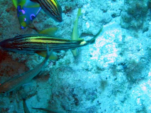 Img 2807-Large