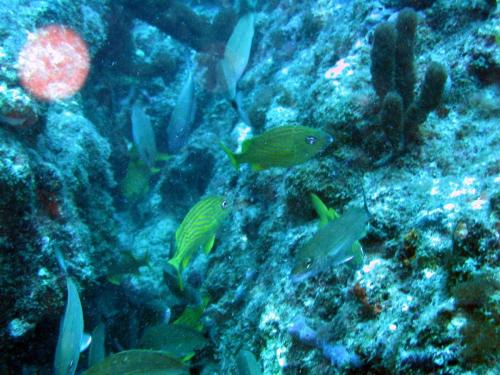 Img 2808-Large