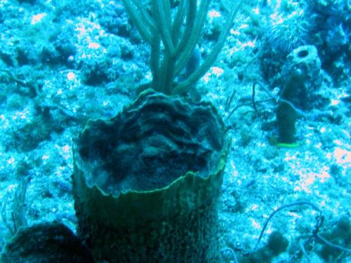 Img 2813-Large