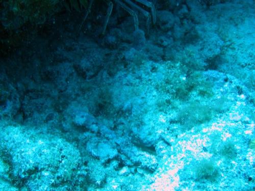 Img 2814-Large